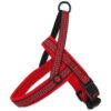 ACTIVE DOG postroj Neoprene ACTIVE DOG www.bohre.sk