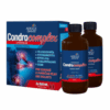 ADELLE DAVIS Condrocomplex 2 x 500 ml Adelle Davis www.bohre.sk