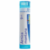 ARNICA Montana granule 4 g (CH9) BOIRON www.bohre.sk