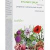 AVROPA ViralPharm bylinný sirup 200ml Avropa www.bohre.sk