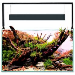 Aquael Ultrascape 60 Forest súprava 64,8 l AQUAEL www.bohre.sk