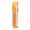 BOIRON Arsenicum iodatum gra 1 x 4 g (CH15) BOIRON www.bohre.sk