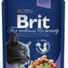 BRIT Premium cat Kapsička Adult Cod Fish 100g BRIT www.bohre.sk