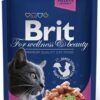 BRIT Premium cat Kapsička Adult Salmon & Trout 100g BRIT www.bohre.sk