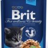 BRIT Premium cat Kapsička Kitten Chicken Chunks 100g BRIT www.bohre.sk