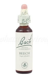 Beech - Buk lesný - bachove kvapky A. Nelson&Co.Ltd www.bohre.sk