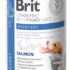 Brit VD Cat GF Recovery 0,4 kg BRIT www.bohre.sk