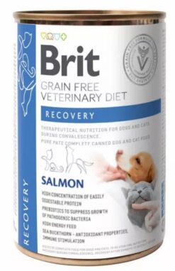 Brit VD Cat GF Recovery 0,4 kg BRIT www.bohre.sk