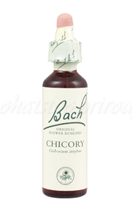Chicory - čakanka - bachove kvapky A. Nelson&Co.Ltd www.bohre.sk