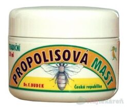 DR.F. DUDEK TRADIČNÁ PROPOLISOVÁ MASŤ 30 ml Dr. Dudek www.bohre.sk
