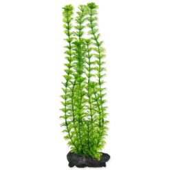 Dekorácia Tetra Rastlina Ambulia L 30cm TETRA www.bohre.sk
