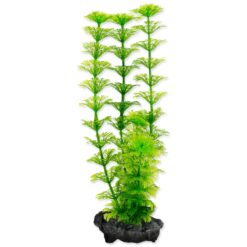Dekorácia Tetra Rastlina Ambulia S 15cm TETRA www.bohre.sk