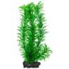 Dekorácia Tetra Rastlina Green Cabomba L 30cm TETRA www.bohre.sk