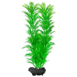 Dekorácia Tetra Rastlina Green Cabomba M 23cm TETRA www.bohre.sk