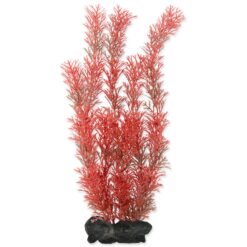 Dekorácia Tetra Rastlina Tetra Foxtail Red L 30cm TETRA www.bohre.sk