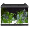 Eheim Aquapro LED akvarijný set čierny 84 l EHEIM www.bohre.sk