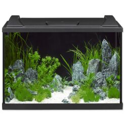 Eheim Aquapro LED akvarijný set čierny 84 l EHEIM www.bohre.sk