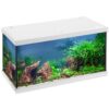 Eheim Aquastar LED akvarijný set biely 54 l EHEIM www.bohre.sk
