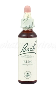 Elm - Brest 20 ml - bachove kvapky A. Nelson&Co.Ltd www.bohre.sk