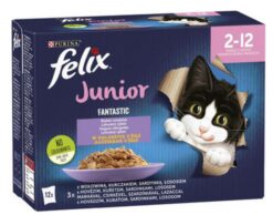 FELIX Fantastic cat Multipack junior (hovädzie,kura,sardinky,losos) v želé kapsička 12x85g Félix www.bohre.sk