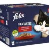 FELIX Fantastic cat hovädzie v želé kapsičky pre mačky 26x85g Félix www.bohre.sk