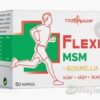 FLEXIN 4 MSM kapsuly 60 ks FLEXIN www.bohre.sk