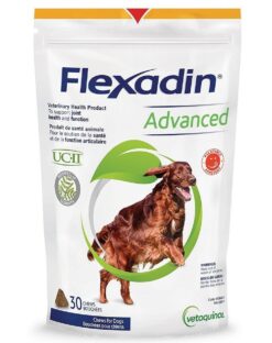 Flexadin Advanced kĺbová výživa pre psy 30tbl Flexadin www.bohre.sk