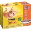 Friskies cat Multipack kura&kačica&losos&morka kapsička 12x85 g Friskies www.bohre.sk