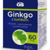 GS Ginkgo 60 mg s horčíkom 60 ks Green Swan www.bohre.sk