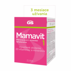 GS Mamavit 1 plánovanie a 1. trimester 90 tabliet GS www.bohre.sk