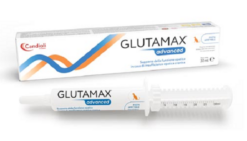 GlutaMax Forte pasta pre mačky pri ochoreniach pečene 15 ml Candioli IT www.bohre.sk