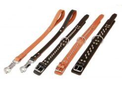HP product for Happy Pets HP obojok MOLOSS ostne  1R 60cm konak HP product for Happy Pets www.bohre.sk