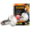 Hagen Exo Terra Intense Basking Spot 25 W EXOTERRA www.bohre.sk