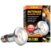 Hagen Exo Terra Intense Basking Spot 75 W EXOTERRA www.bohre.sk
