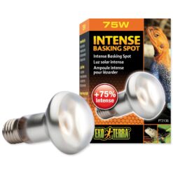 Hagen Exo Terra Intense Basking Spot 75 W EXOTERRA www.bohre.sk