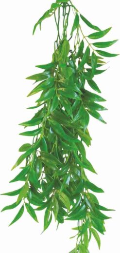 Happet FICUS LONGIFOLIA 50cm - plastová rastlina do terária Happet www.bohre.sk