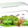Happet LED Osvetlenie do akvária Nano white 7W Happet www.bohre.sk