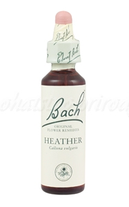 Heather - Vres škótsky 20 ml - bachove kvapky A. Nelson&Co.Ltd www.bohre.sk