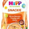 HiPP Príkrm ovocnýis BIO Sport hruška, banán, biele hrozno, ovos 120g HIPP www.bohre.sk