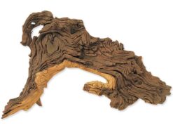 Hobby Dohse Tropical wood M 27 cm HOBBY www.bohre.sk