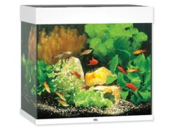 Juwel Lido LED 120 akvarijný set biely 120 l JUWEL www.bohre.sk