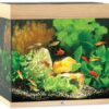 Juwel Lido LED 120 akvarijný set dub 120 l JUWEL www.bohre.sk