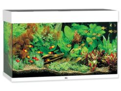 Juwel Rio LED Akvarijný set 125 biely 125 l JUWEL www.bohre.sk