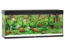 Juwel Rio LED Akvarijný set 240 čierny 240 l JUWEL www.bohre.sk