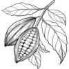 Kakaové maslo 100% Bio Alteya 100 ml Alteya Organics www.bohre.sk