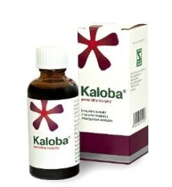 Kaloba gtt.por.1 x 20 ml Kaloba www.bohre.sk