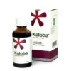 Kaloba gtt.por.1 x 50 ml Kaloba www.bohre.sk