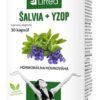 Liftea ŠALVIA + YZOP proti poteniu 30 kapsúl Liftea www.bohre.sk