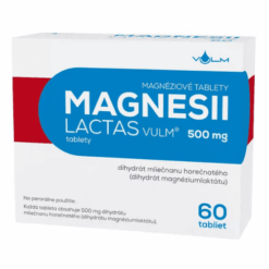 MAGNESII Lactas vulm 500 mg 60 tabliet VULM www.bohre.sk