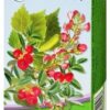 MEGAFYT Urologická čajová zmes 20x1,5g Megafyt Pharma www.bohre.sk